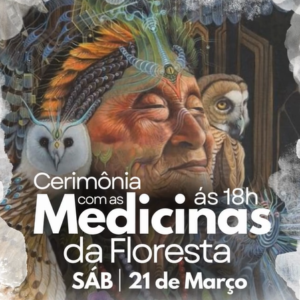 👑 Rainha da Floresta: O Despertar da Cura e a Força que Brota da Alma